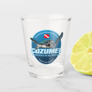 Cozumel (DD2) Shot Glass