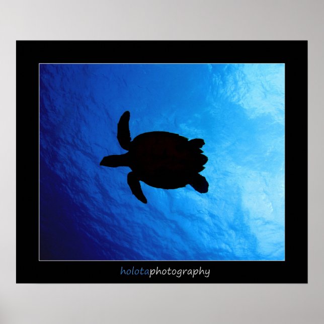 Cozumel - Hawksbill #011 Poster (Front)