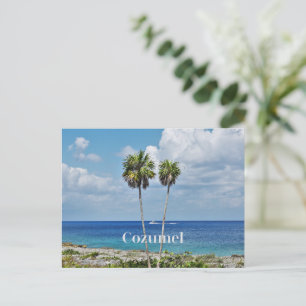 Cozumel, Mexican island, Holiday Postcard