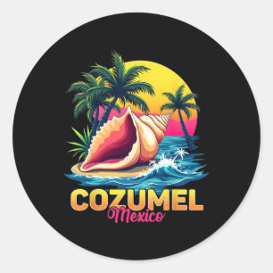 Cozumel Mexico Beach Caribbean Vacation Travel Classic Round Sticker
