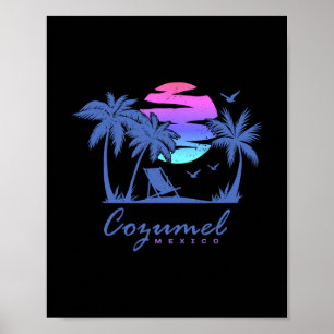 Cozumel Mexico Beach Vacation Spring Break Honeymo Poster