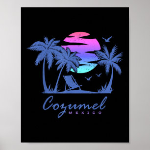 Cozumel Mexico Beach Vacation Spring Break Honeymo Poster