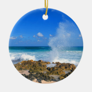 Cozumel Mexico Beach Wave Splash Water Spout Teal Ceramic Tree Decoration
