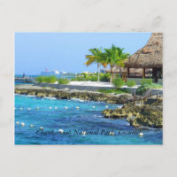 Cozumel Mexico Chankanaab Park Postcard