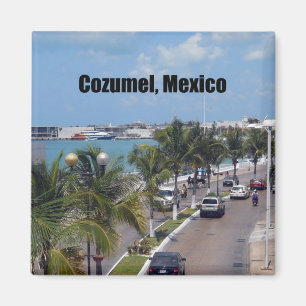 Cozumel, Mexico Magnet