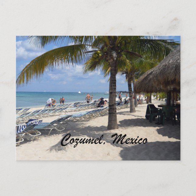 Cozumel, Mexico Postcard (Front)