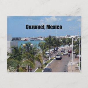 Cozumel, Mexico Postcard