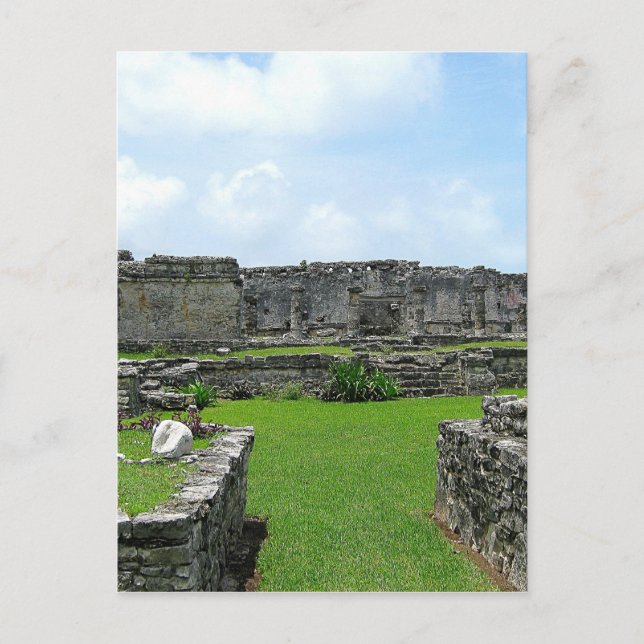 Cozumel Mexico Postcard (Front)