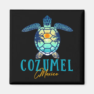 Cozumel Mexico Sea Turtle Palm Tree Sunset Beach V Magnet