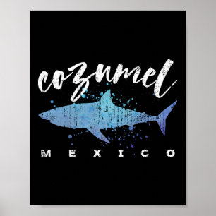 Cozumel Mexico Shark Scuba Diver Spring Break Vaca Poster