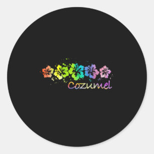 Cozumel, Mexico Watercolor Beach & Surf Classic Round Sticker