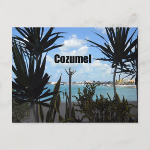 Cozumel Postcard