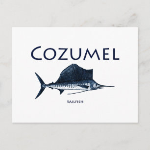 Cozumel Sailfish Postcard