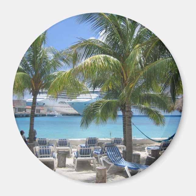 Cozumel Vacation View Magnet (Front)