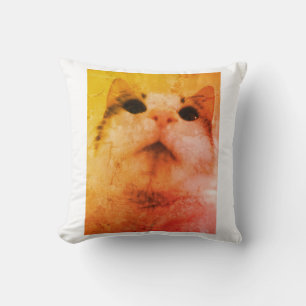 Cozy Cat Dreams Pillow