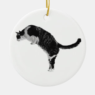 Cozy Cat Ornament