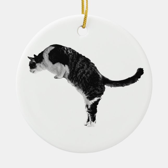 Cozy Cat Ornament (Front)