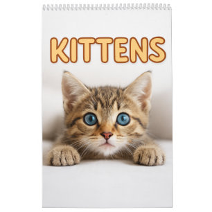 Cozy Cat Photography Cute Kitten Cat Wall Calendar