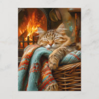 Cozy Cat Sleeping in Basket by Warm Fireplace