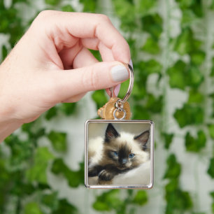 Cozy Companion Siamese Kitten Key Ring