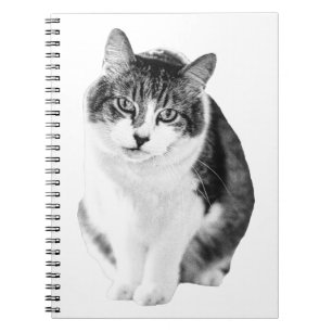 Cozy Gentle Moment Notebook