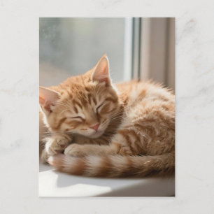 Cozy Ginger Cat Sunbathing Nap Postcard