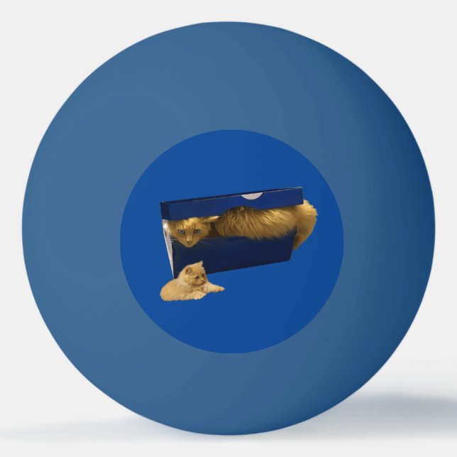 "Cozy Hideaway: The Ginger Cat in the Shoe Box" Ping Pong Ball (Front)