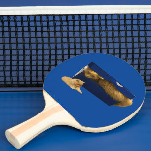 "Cozy Hideaway: The Ginger Cat in the Shoe Box" Ping Pong Paddle