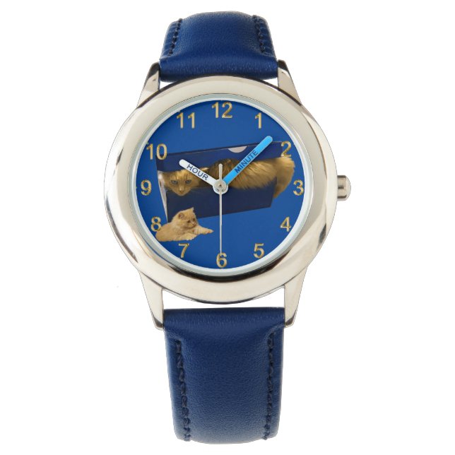 "Cozy Hideaway: The Ginger Cat in the Shoe Box" Watch (Front)