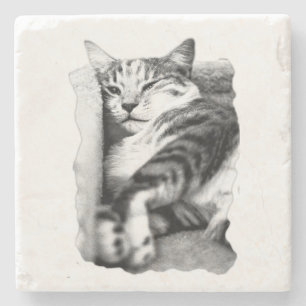 Cozy Lounge Tabby Cat Coaster