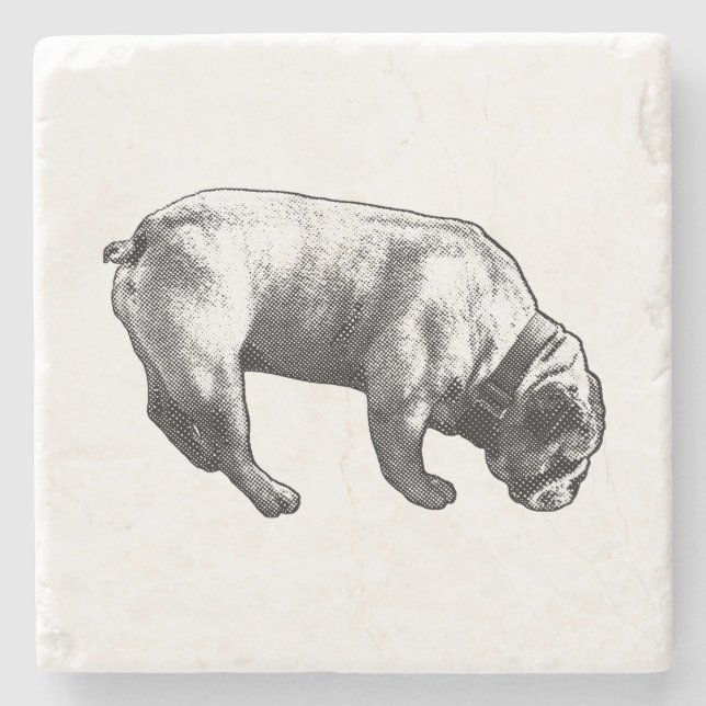 Cozy Map, Manga Paws Stone Coaster (Front)
