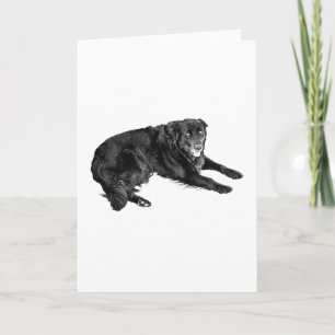 Cozy Messages with Thoughtful Eyes Card