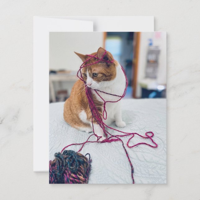 Cozy Orange Tabby Note Cards for Cat Lovers (Front)