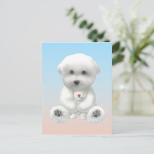 Cozy Plush Moment: Smiling Bichon Hugging Mini Pup Announcement Postcard