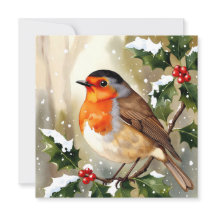 Cozy Robin Christmas Watercolor Illustration