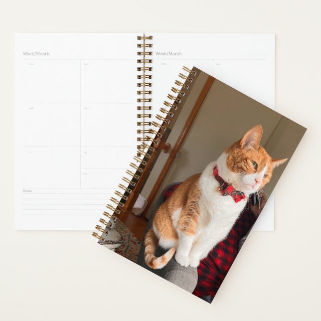 Cozy Tabby Cat Planner Small (Display)