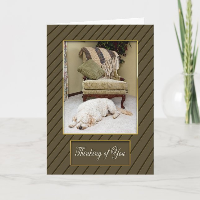 COZY THINKING OF YOU GREETING - FLUFFY DOG IN HOME CARD (Front)