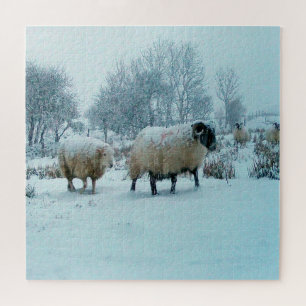 Cozy Winter Sheep Herd Soft Snowfall Country Art Jigsaw Puzzle