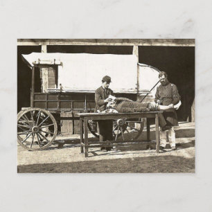 cp1563 Army Medical Wagon Postcard