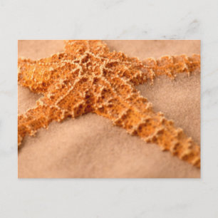 cp ion sand cl-up postcard