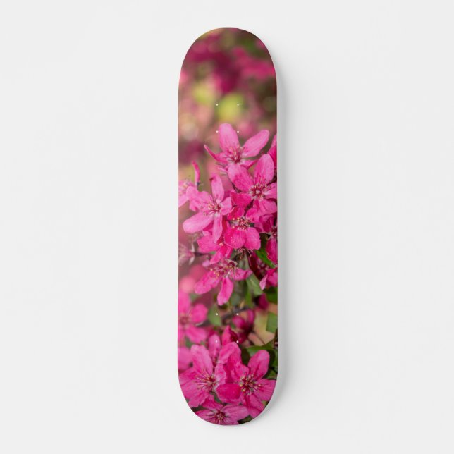 Crab Apple Blooms Skateboard (Front)