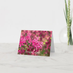Crab Apple Blooms Thinking Of You Card