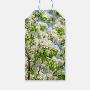 Crab apple blossom gift tags
