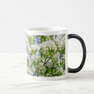 Crab apple blossom magic mug
