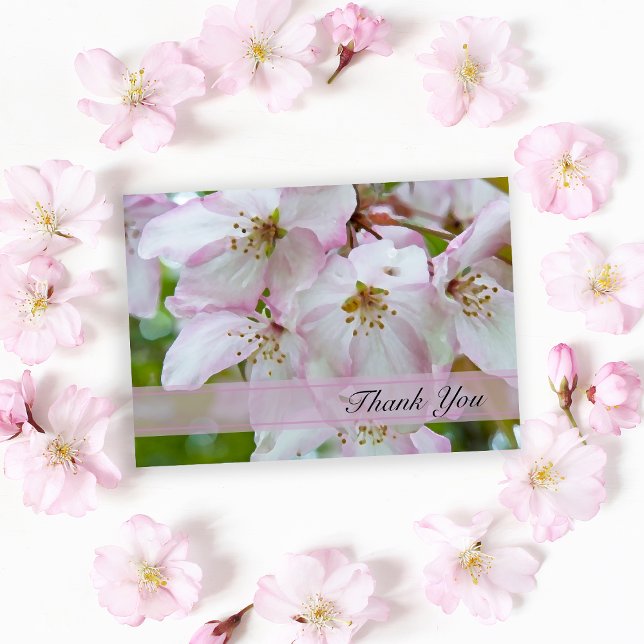 Crab Apple Blossoms Thank You for your Sympathy (Creator Uploaded)