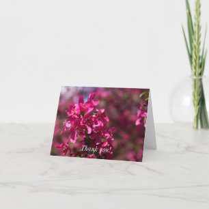 Crab Apple Shadows Thank You Card