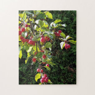 Crab Apples Jigsaw Puzzle