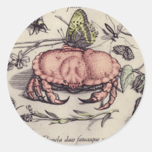Crab Botanical Insect Flower Illustration Classic Round Sticker