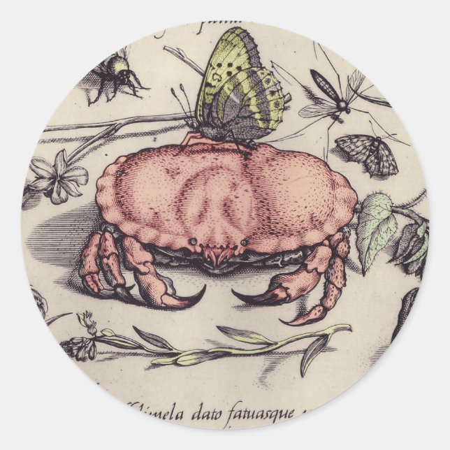 Crab Botanical Insect Flower Illustration Classic Round Sticker (Front)