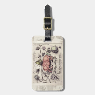 Crab Botanical Insect Flower Illustration Luggage Tag